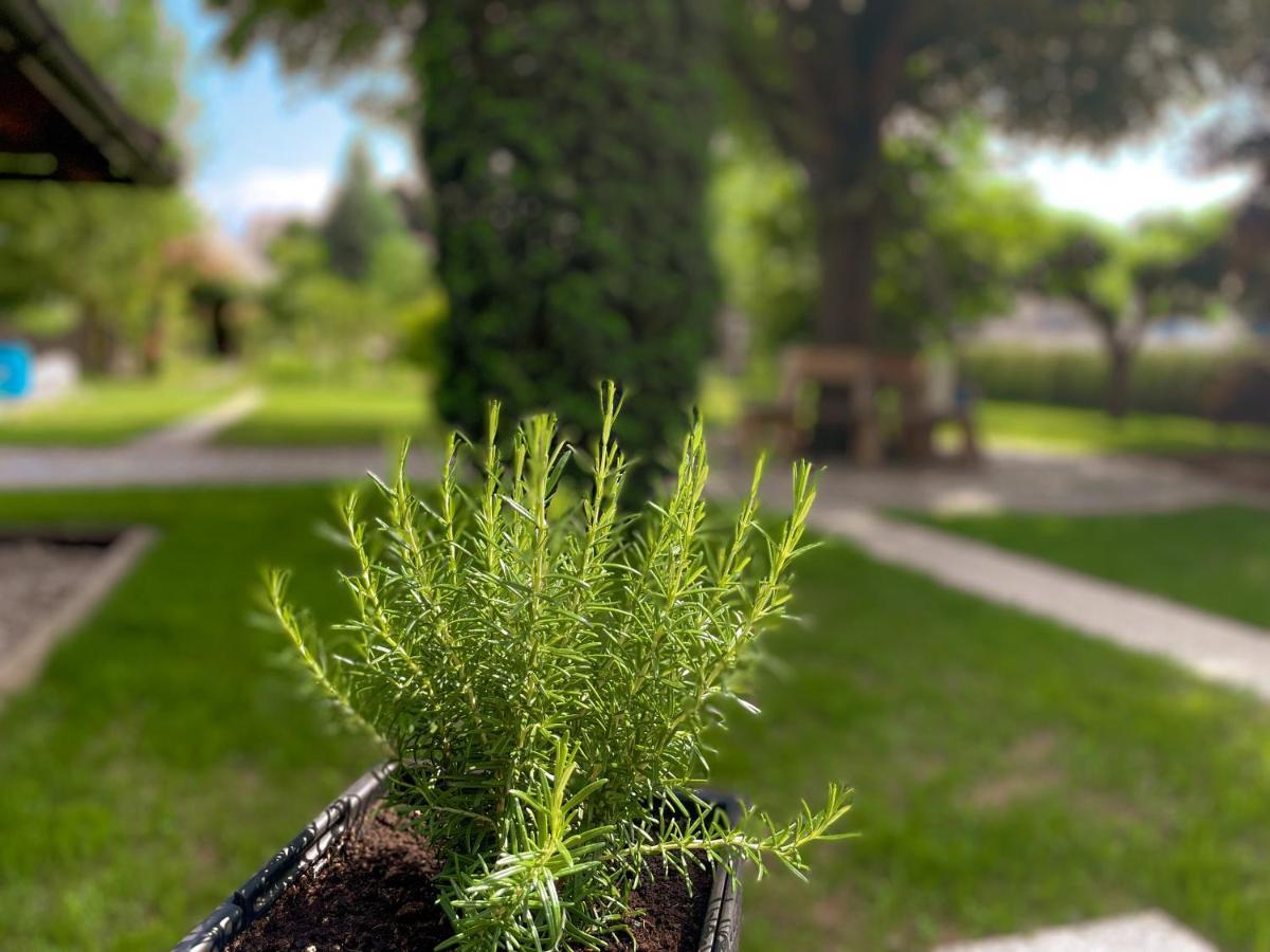 Green Oasis Garden Šenčur Dış mekan fotoğraf