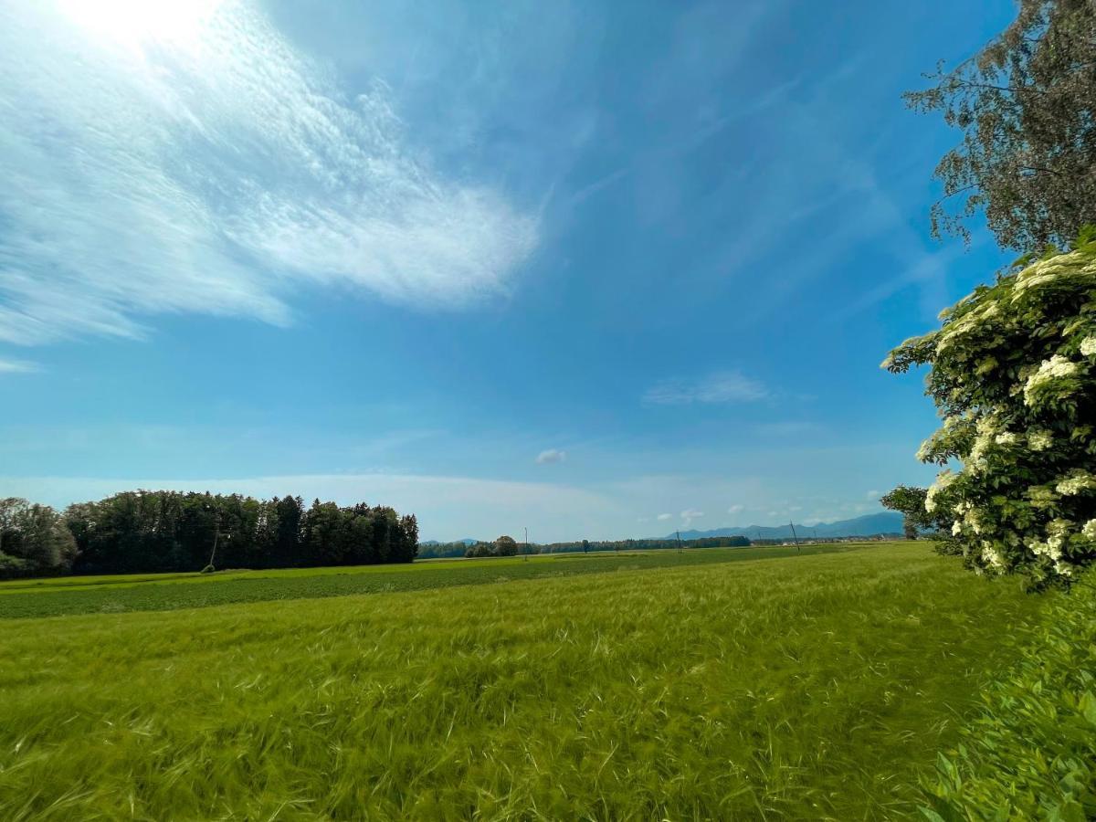 Green Oasis Garden Šenčur Dış mekan fotoğraf