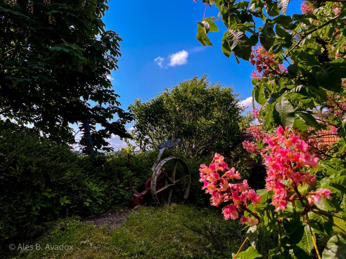 Green Oasis Garden Šenčur Dış mekan fotoğraf