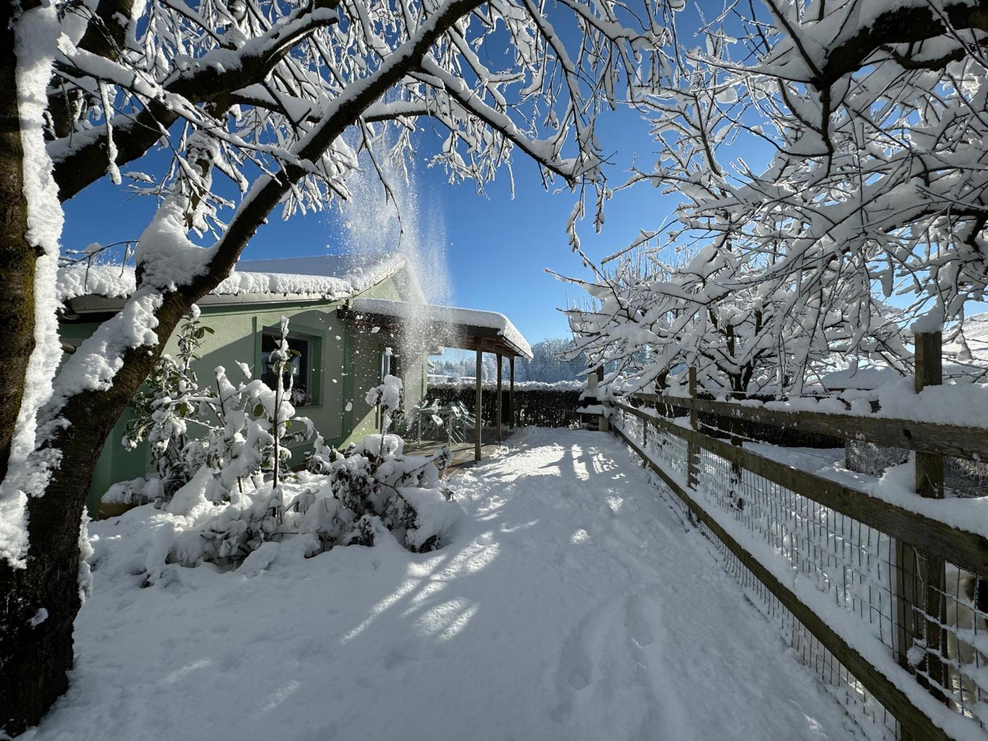 Green Oasis Garden Šenčur Dış mekan fotoğraf