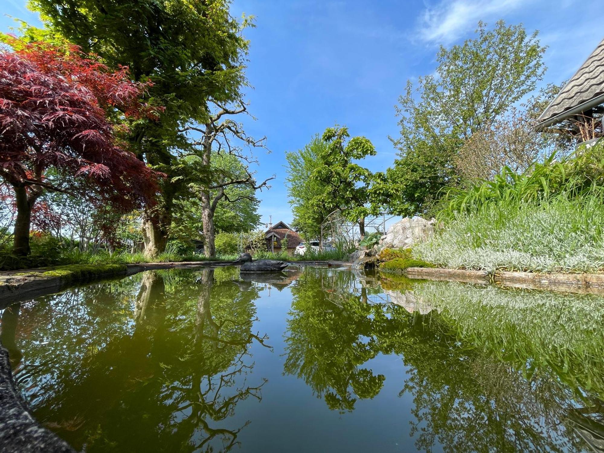 Green Oasis Garden Šenčur Dış mekan fotoğraf