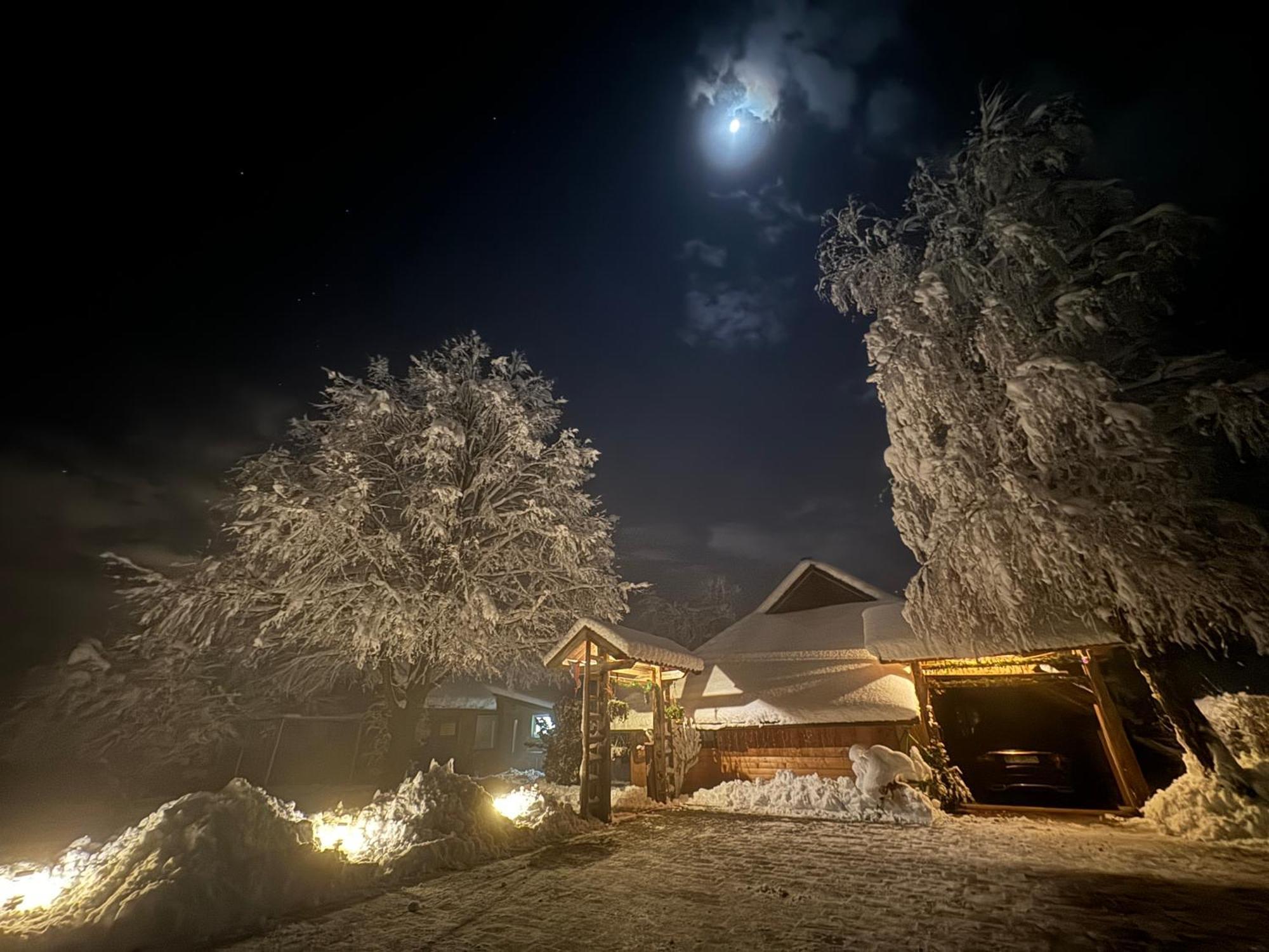 Green Oasis Garden Šenčur Dış mekan fotoğraf