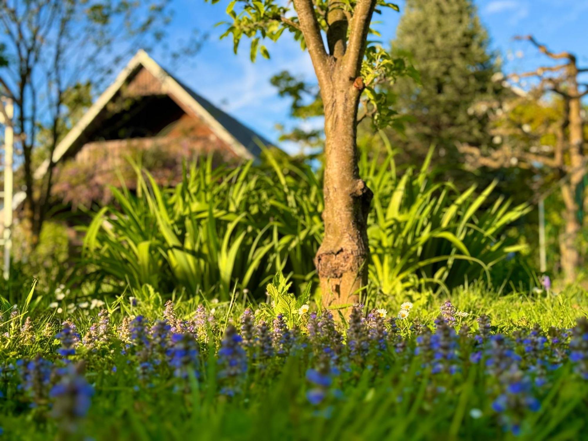 Green Oasis Garden Šenčur Dış mekan fotoğraf